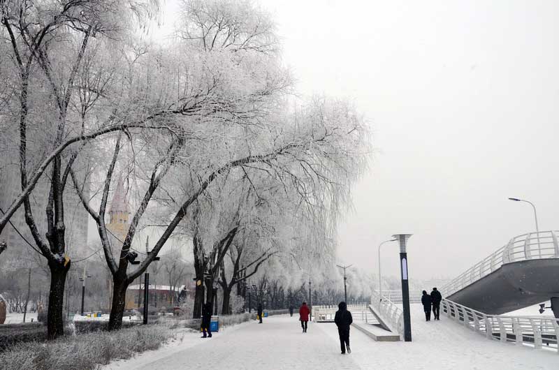 DSC_7368_С.JPG