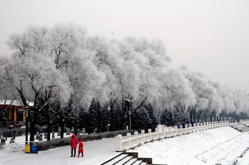 DSC_7386_С.JPG
