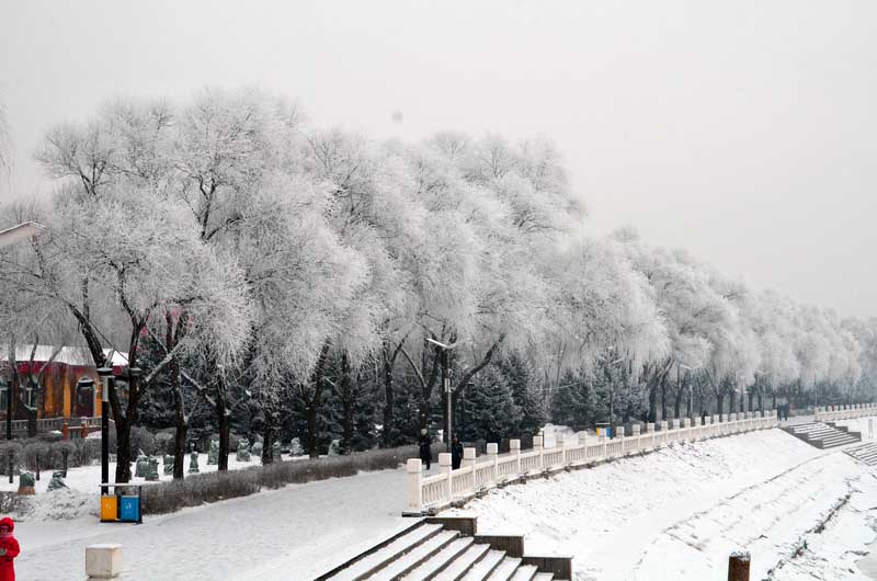 DSC_7387_С.JPG