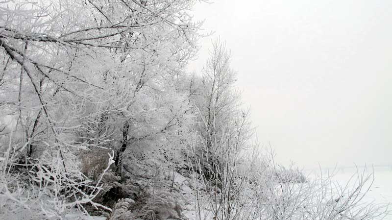 IMG_3256_С.JPG