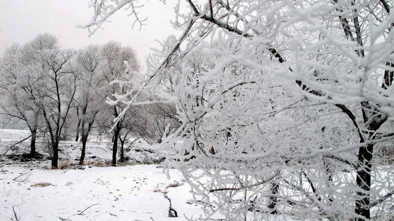 IMG_3257_С.JPG