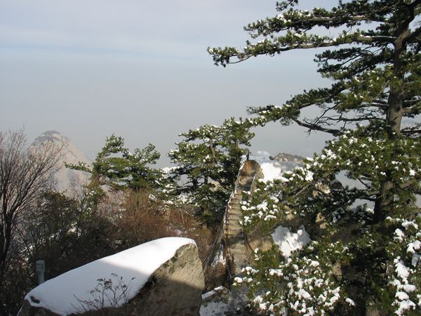 IMG_0175.JPG
