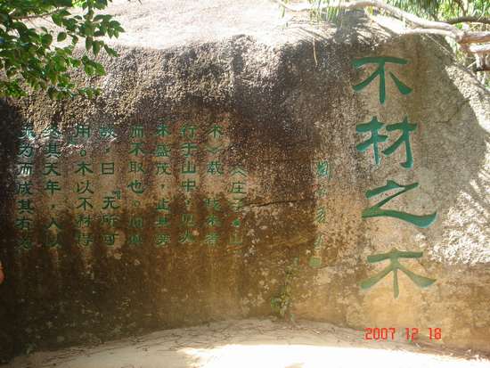 DSC01965.JPG