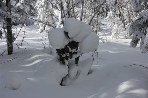 IMG_7280_conew1.jpg