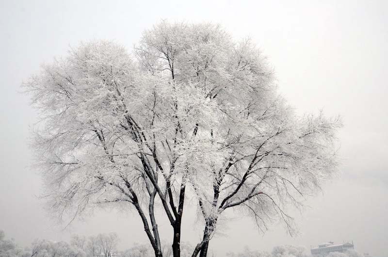 DSC_7510_С.JPG