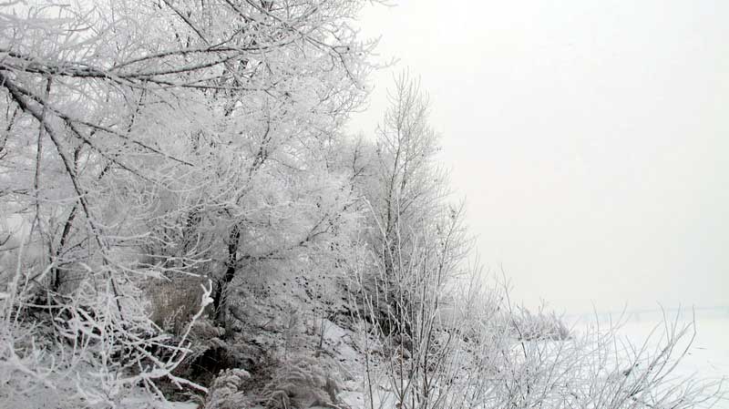 IMG_3256_С.JPG