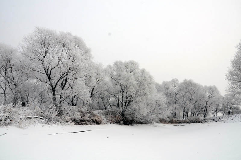 DSC_7511_С.JPG
