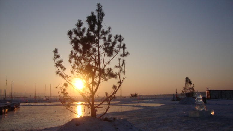DSC02707_conew1.jpg