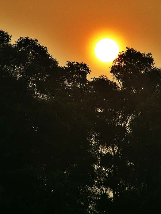 PICT3741-0.jpg