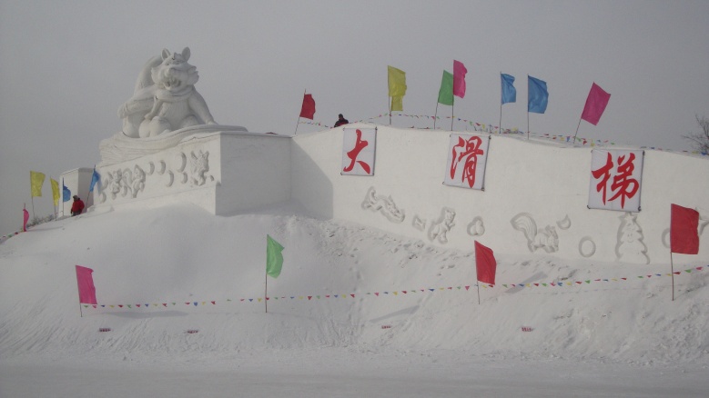 DSC02810_conew1.jpg