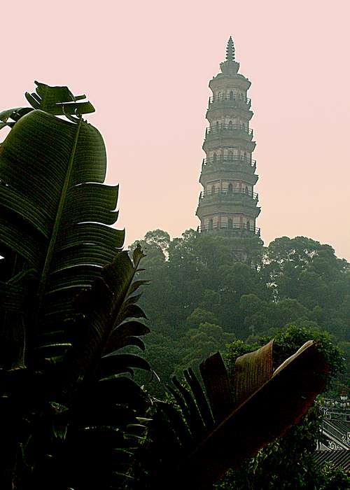 PICT3718-0.jpg