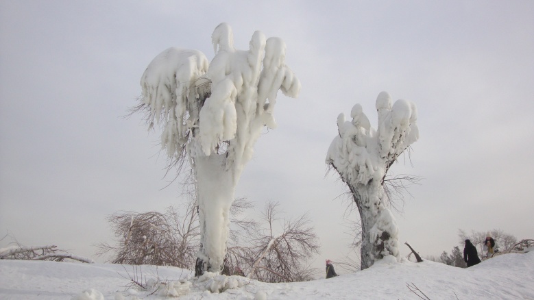 DSC02834_conew1.jpg