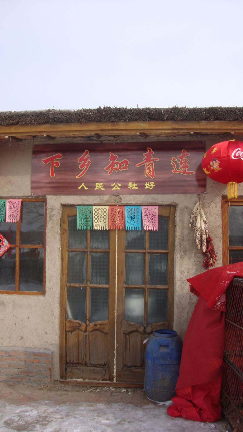 DSC02773_conew1.jpg