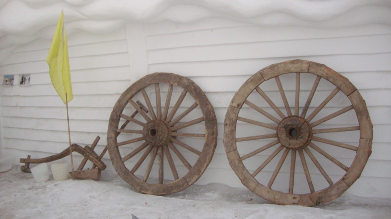 DSC02754_conew1.jpg