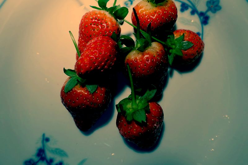 DSC02208_СС.JPG