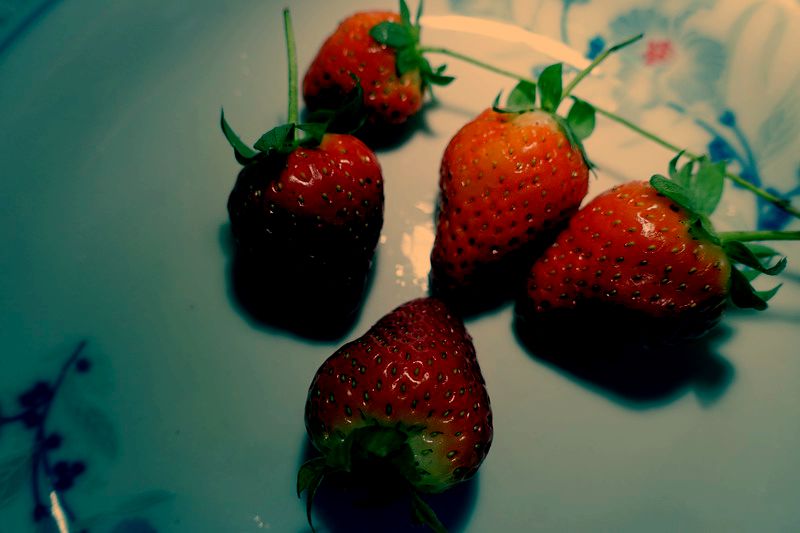 DSC02212_СС.JPG