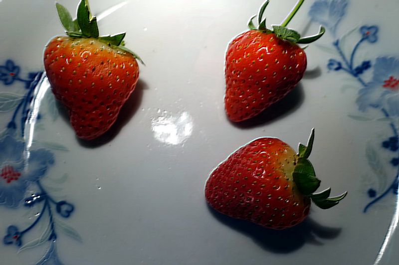DSC02215_СС.JPG