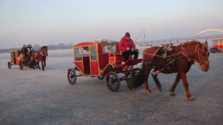 DSC02917_conew1.jpg