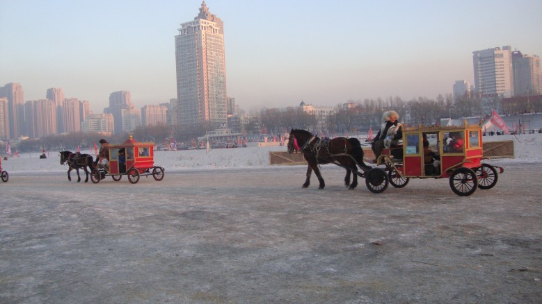 DSC02921_conew1.jpg