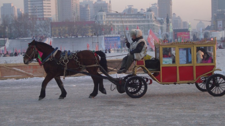 DSC02940_conew1.jpg