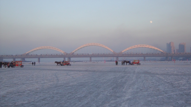 DSC02950_conew1.jpg