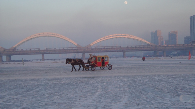 DSC02951_conew1.jpg