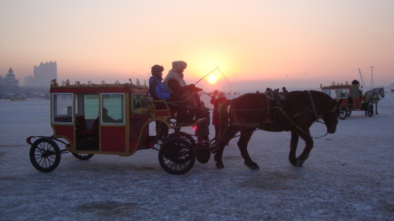 DSC02961_conew1.jpg