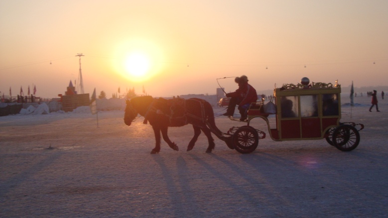 DSC02936_conew1.jpg