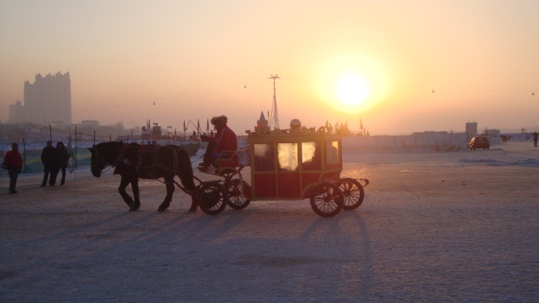 DSC02937_conew1.jpg