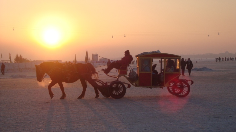 DSC02943_conew1.jpg
