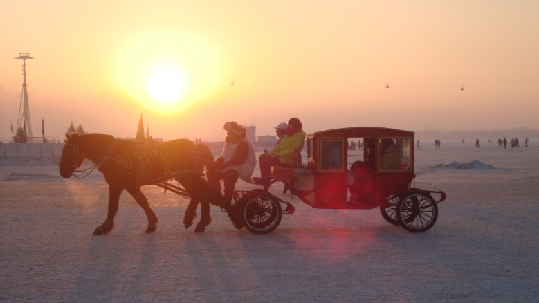 DSC02944_conew1.jpg