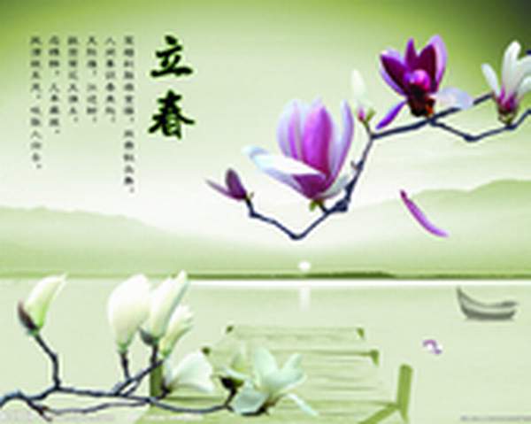 t015c2a833cd92fa00b.jpg
