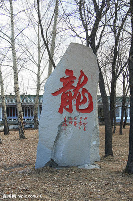 t01a94f33b5c2266a50.jpg