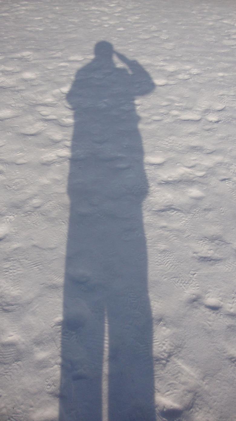 DSC01153_conew1.jpg
