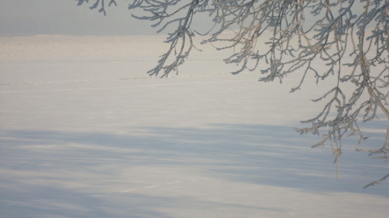 DSC08210_conew1.jpg