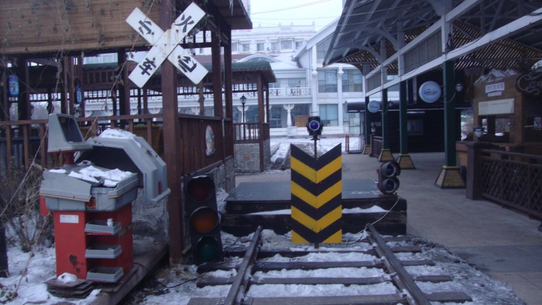 DSC03304_conew1.jpg