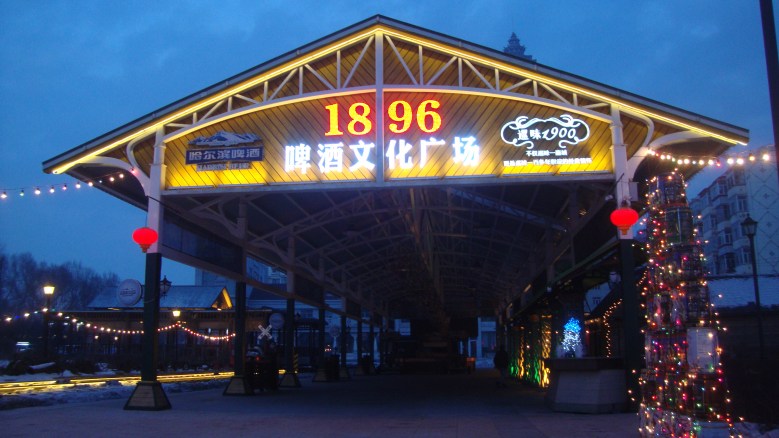 DSC03333_conew1.jpg