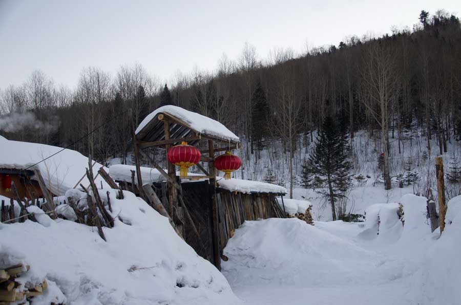 DSC_9493_С.jpg