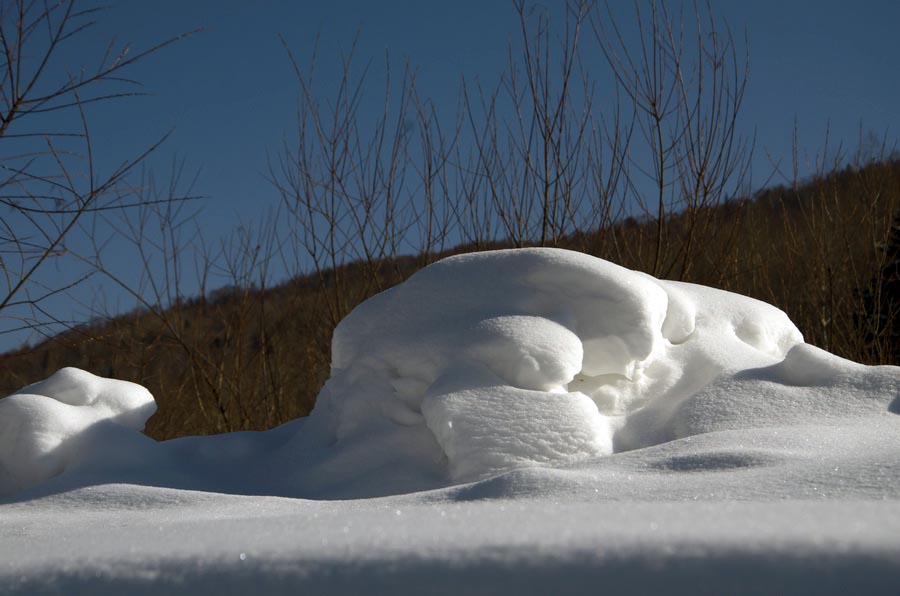 DSC_8987_С.jpg