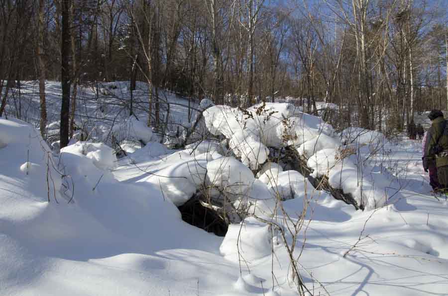 DSC_9042_С.jpg