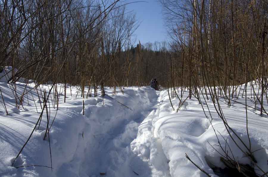 DSC_9005_С.jpg