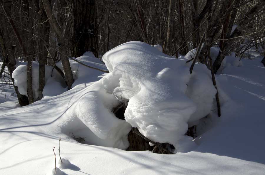 DSC_9072_С.jpg