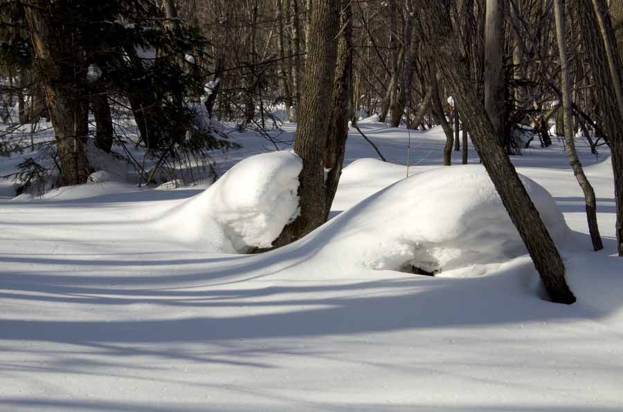 DSC_9091_С.jpg