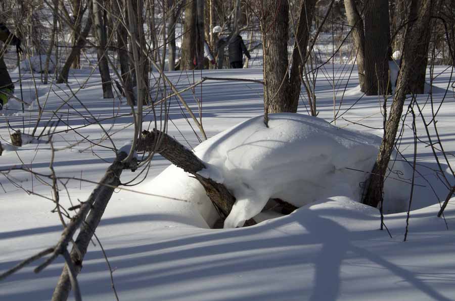 DSC_9120_С.jpg