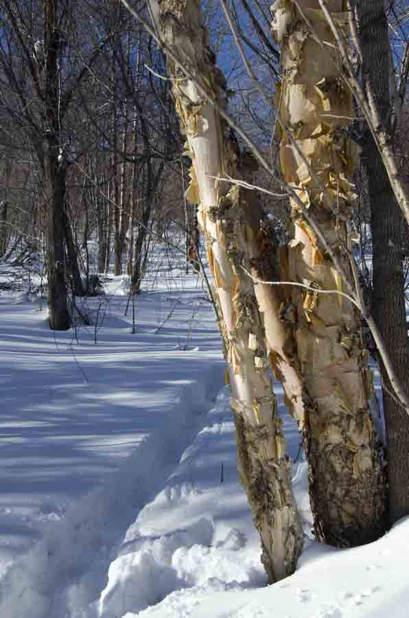 DSC_9143_С.jpg