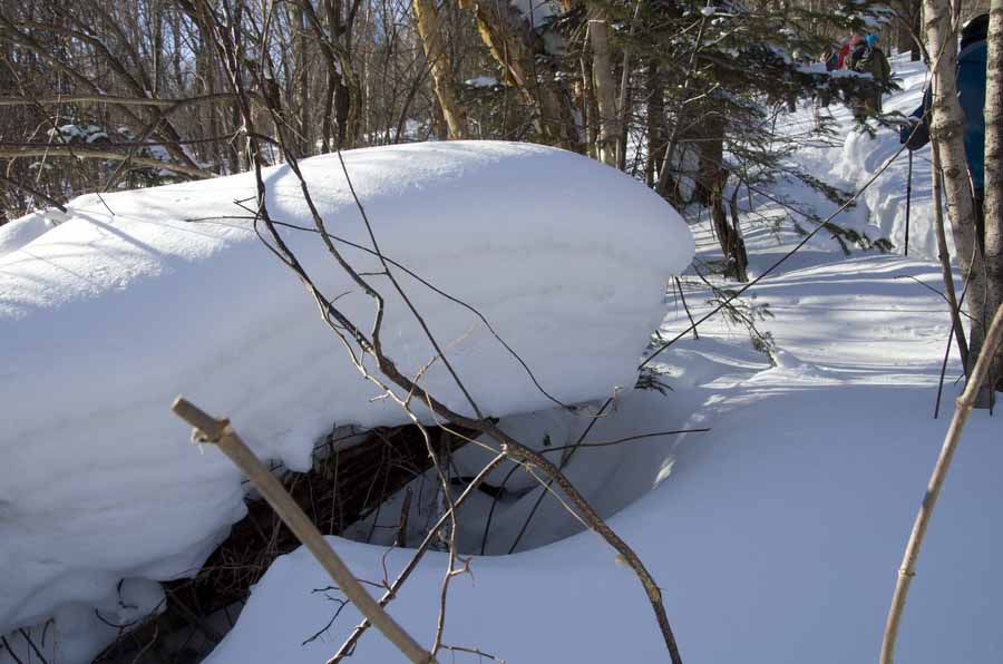 DSC_9171_С.jpg