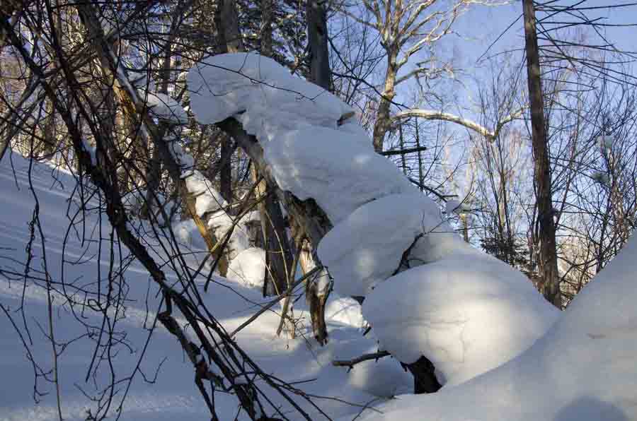 DSC_9217_С.jpg