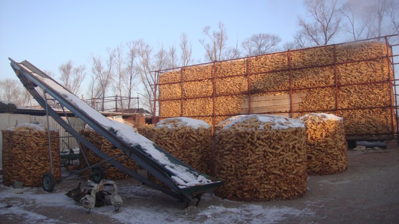DSC03824_conew1.jpg