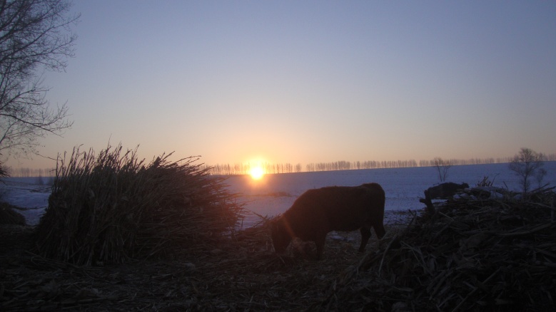 DSC03769_conew1.jpg