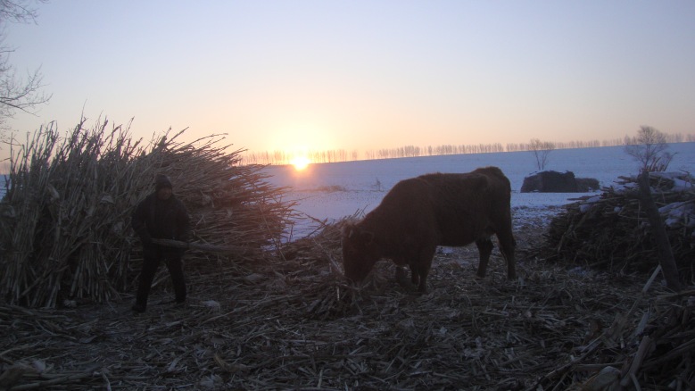 DSC03765_conew1.jpg